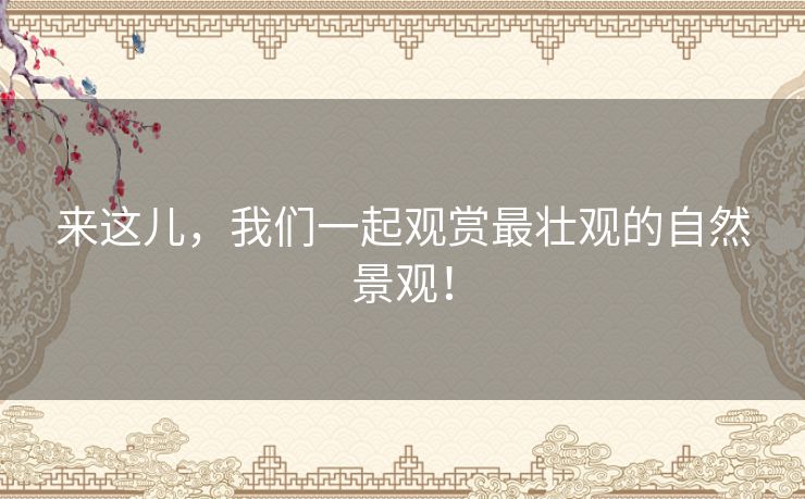 来这儿，我们一起观赏最壮观的自然景观！