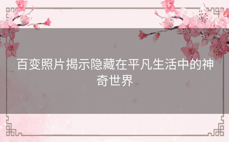 百变照片揭示隐藏在平凡生活中的神奇世界