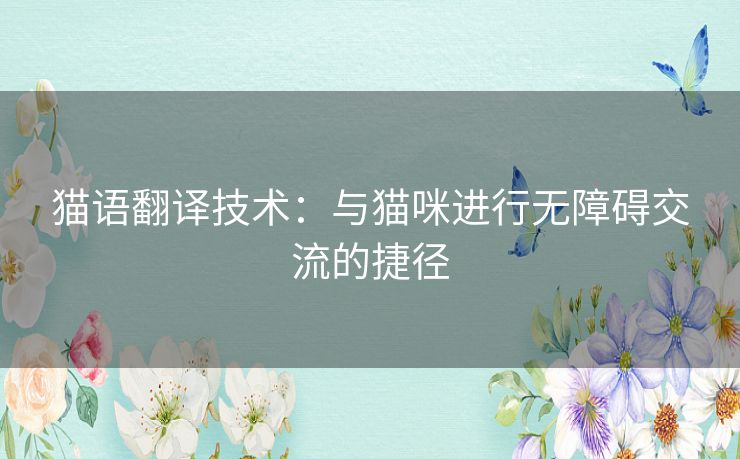 猫语翻译技术：与猫咪进行无障碍交流的捷径