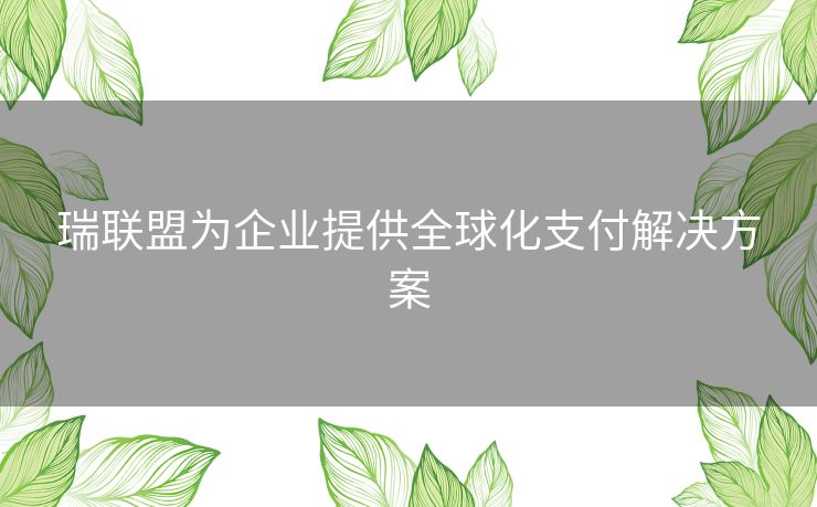 瑞联盟为企业提供全球化支付解决方案
