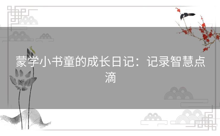 蒙学小书童的成长日记：记录智慧点滴