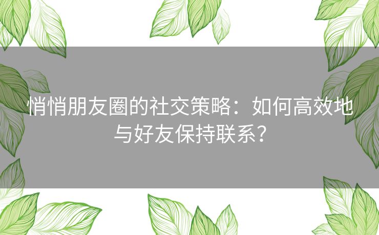 悄悄朋友圈的社交策略：如何高效地与好友保持联系？