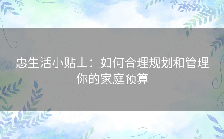 惠生活小贴士：如何合理规划和管理你的家庭预算
