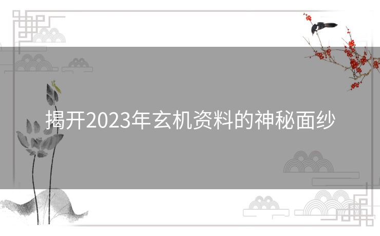 揭开2023年玄机资料的神秘面纱