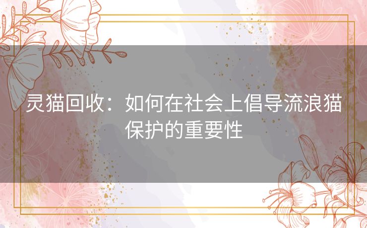 灵猫回收：如何在社会上倡导流浪猫保护的重要性