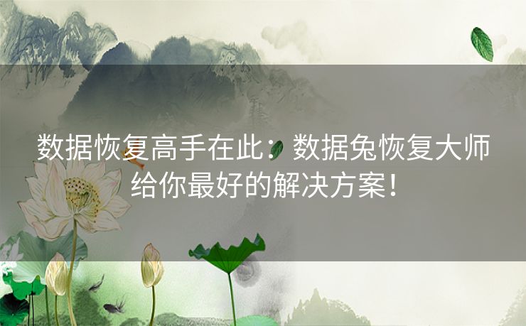 数据恢复高手在此：数据兔恢复大师给你最好的解决方案！