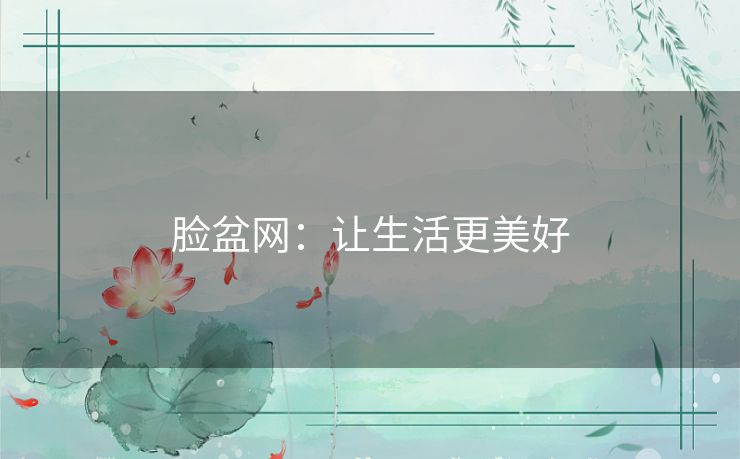 脸盆网：让生活更美好