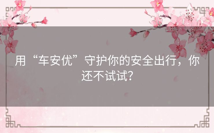 用“车安优”守护你的安全出行，你还不试试？