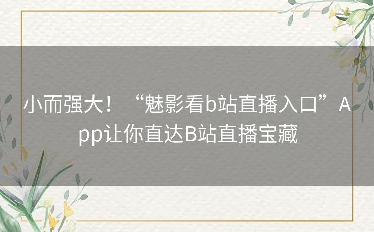 小而强大！“魅影看b站直播入口”App让你直达B站直播宝藏
