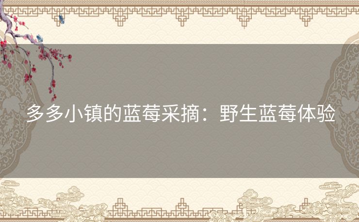 多多小镇的蓝莓采摘：野生蓝莓体验