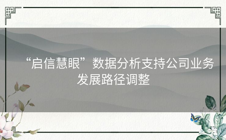 “启信慧眼”数据分析支持公司业务发展路径调整