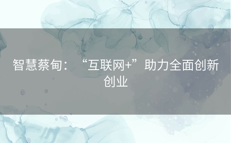 智慧蔡甸：“互联网+”助力全面创新创业