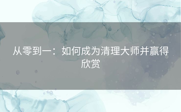 从零到一：如何成为清理大师并赢得欣赏