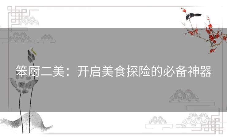 笨厨二美：开启美食探险的必备神器