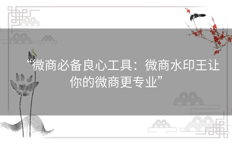 “微商必备良心工具：微商水印王让你的微商更专业”