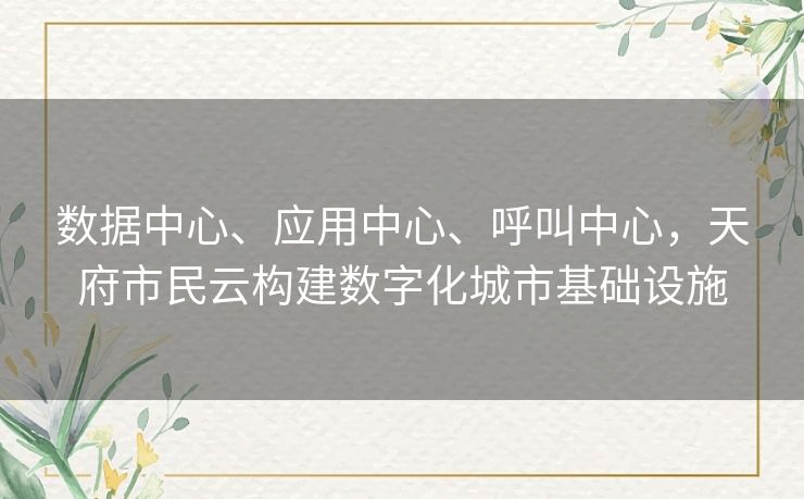 数据中心、应用中心、呼叫中心，天府市民云构建数字化城市基础设施