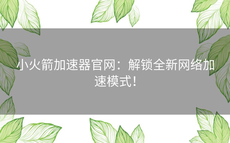 小火箭加速器官网：解锁全新网络加速模式！