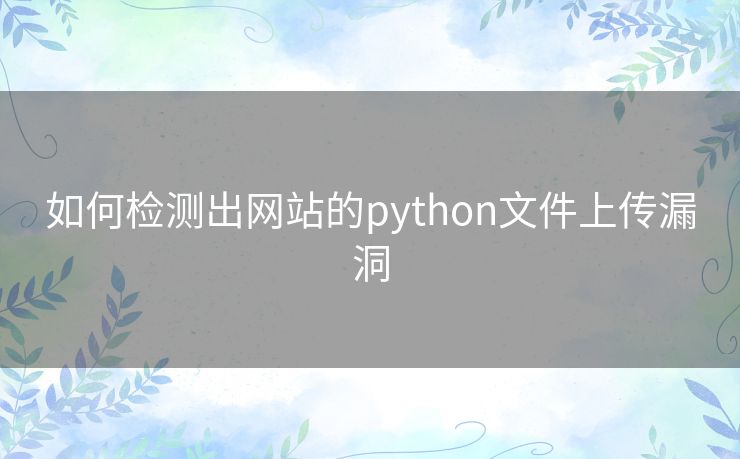 如何检测出网站的python文件上传漏洞