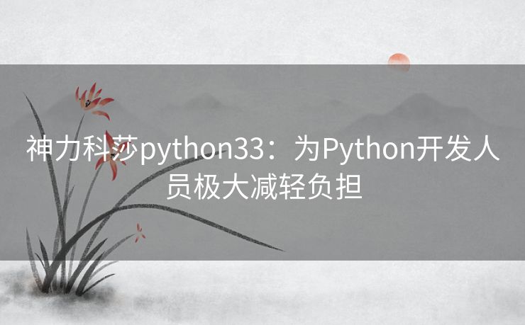 神力科莎python33：为Python开发人员极大减轻负担