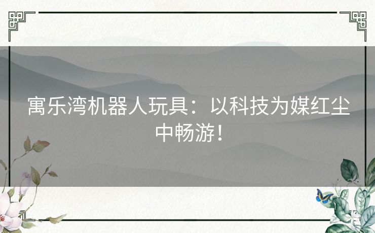 寓乐湾机器人玩具：以科技为媒红尘中畅游！