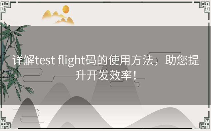 详解test flight码的使用方法，助您提升开发效率！