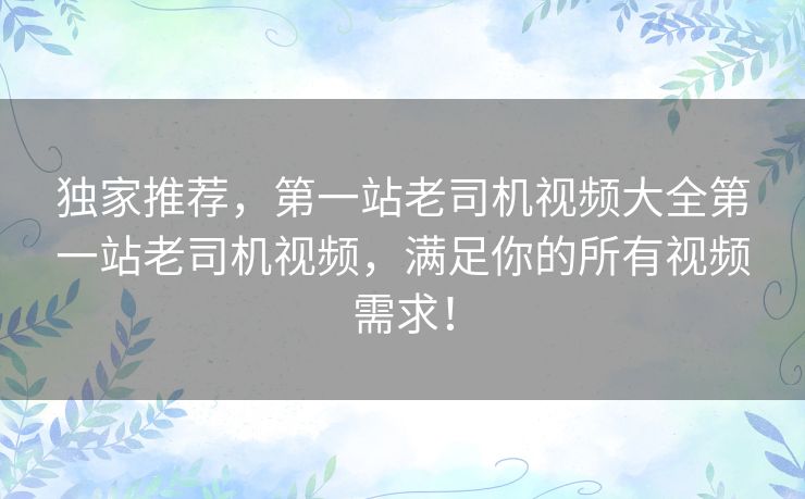 独家推荐，第一站老司机视频大全第一站老司机视频，满足你的所有视频需求！