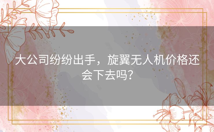 大公司纷纷出手，旋翼无人机价格还会下去吗？