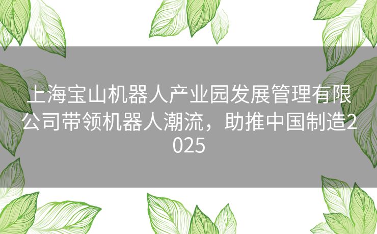 上海宝山机器人产业园发展管理有限公司带领机器人潮流，助推中国制造2025