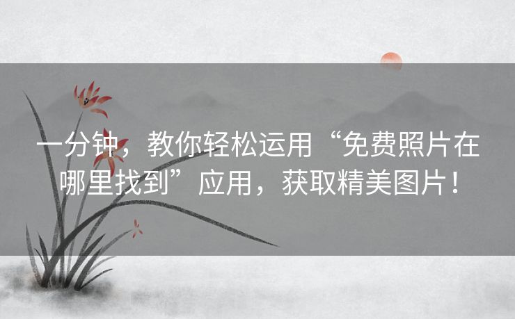 一分钟，教你轻松运用“免费照片在哪里找到”应用，获取精美图片！